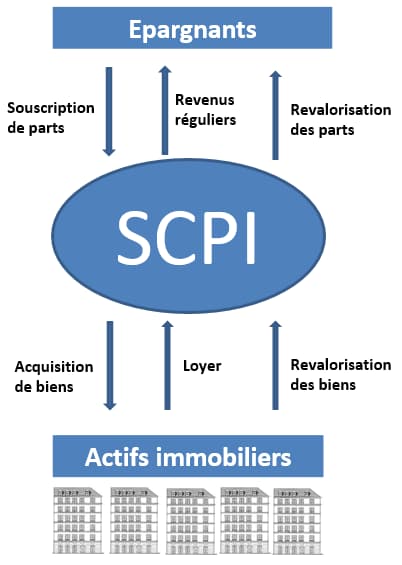 L’immobilier coté : Pourquoi la SCPI reste une valeur refuge malgré la crise